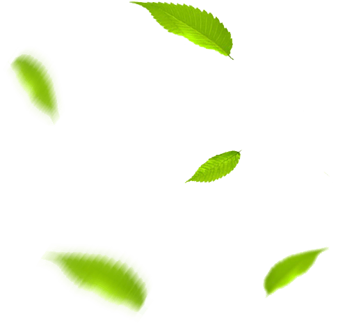 Dekoratív levelek grafika